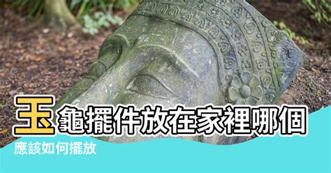 石龜風水|【風水裡石龜可否放家裡】玉龜擺件放在家裡哪個位置合適 